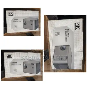 Heavy Duty Smart Projector