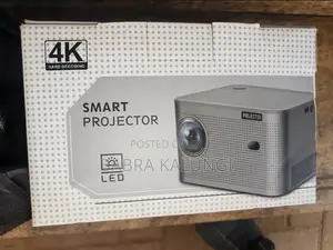 Heavy Duty Smart Projector