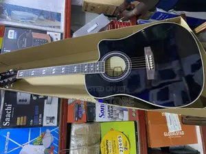 Electric Guitar