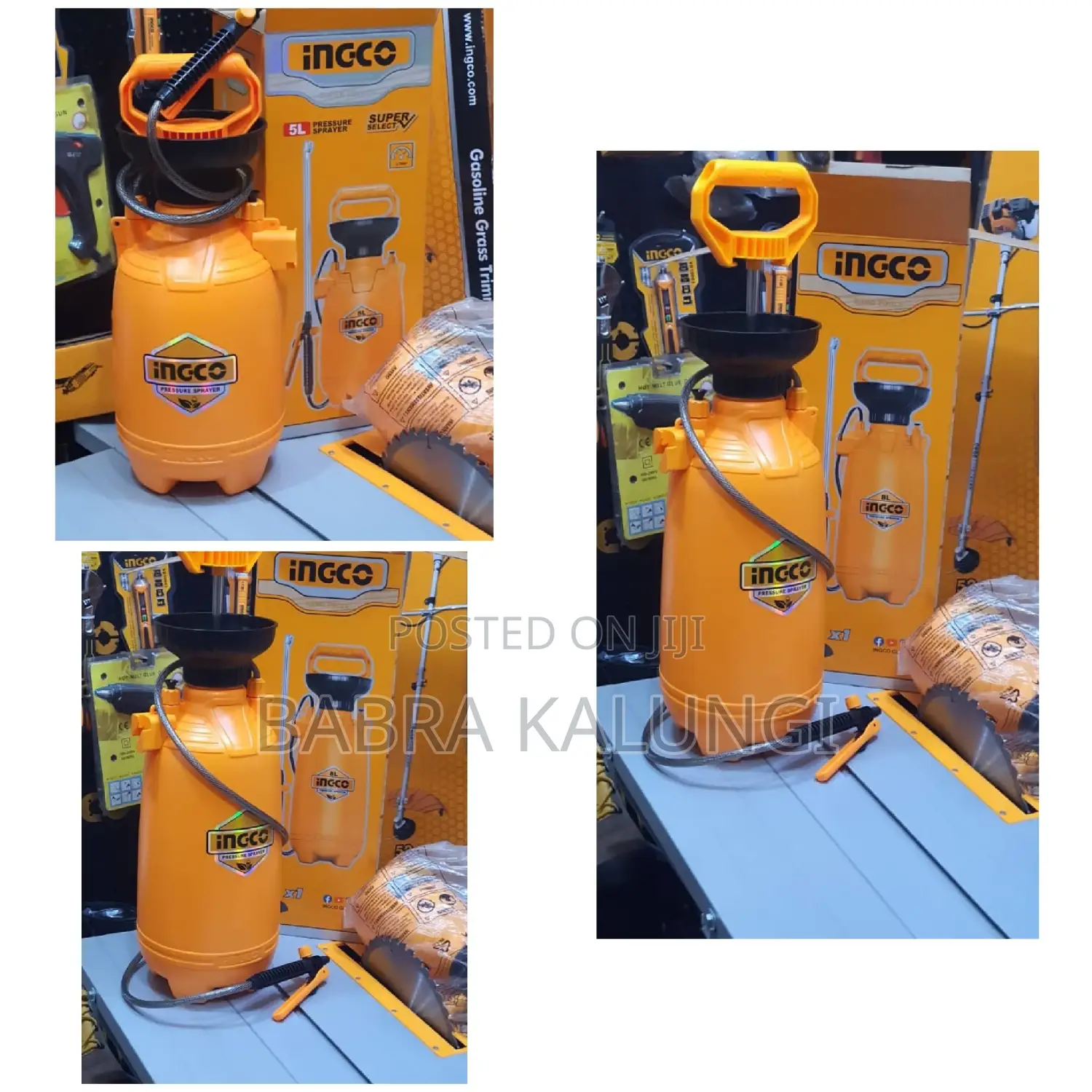 Portable Ingco Sprayer