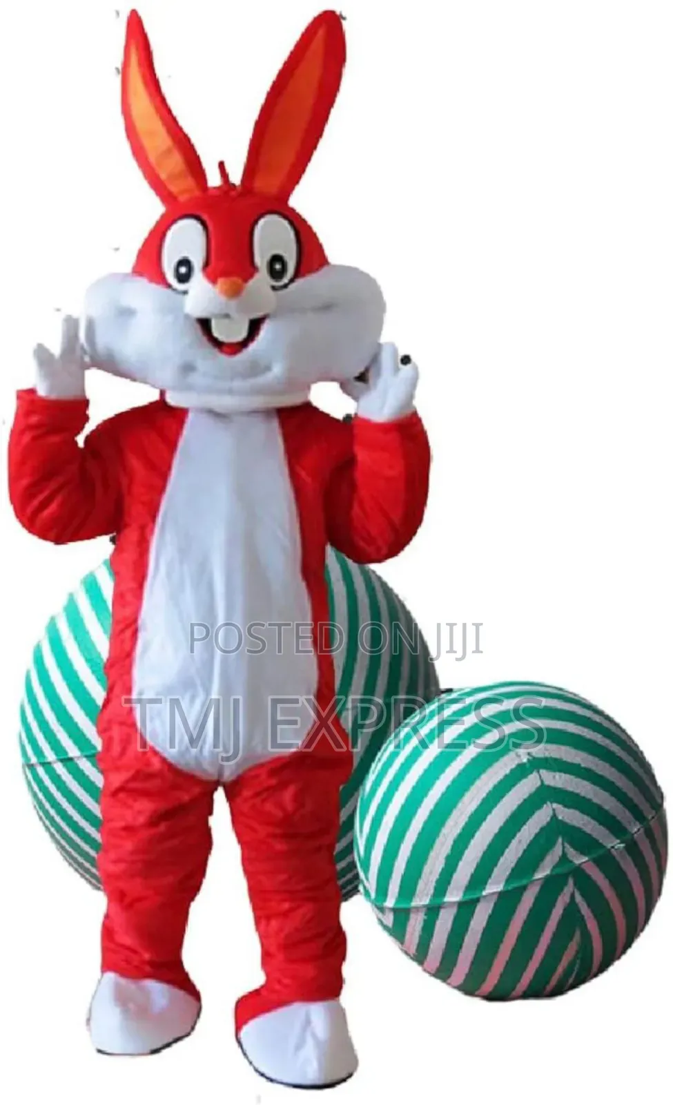 Mascots For Hire