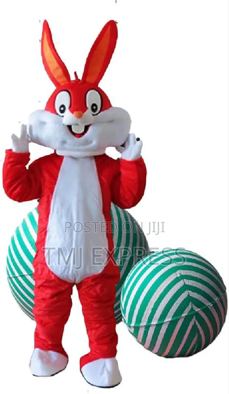 Mascots For Hire