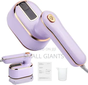1000w Mini Steam Iron