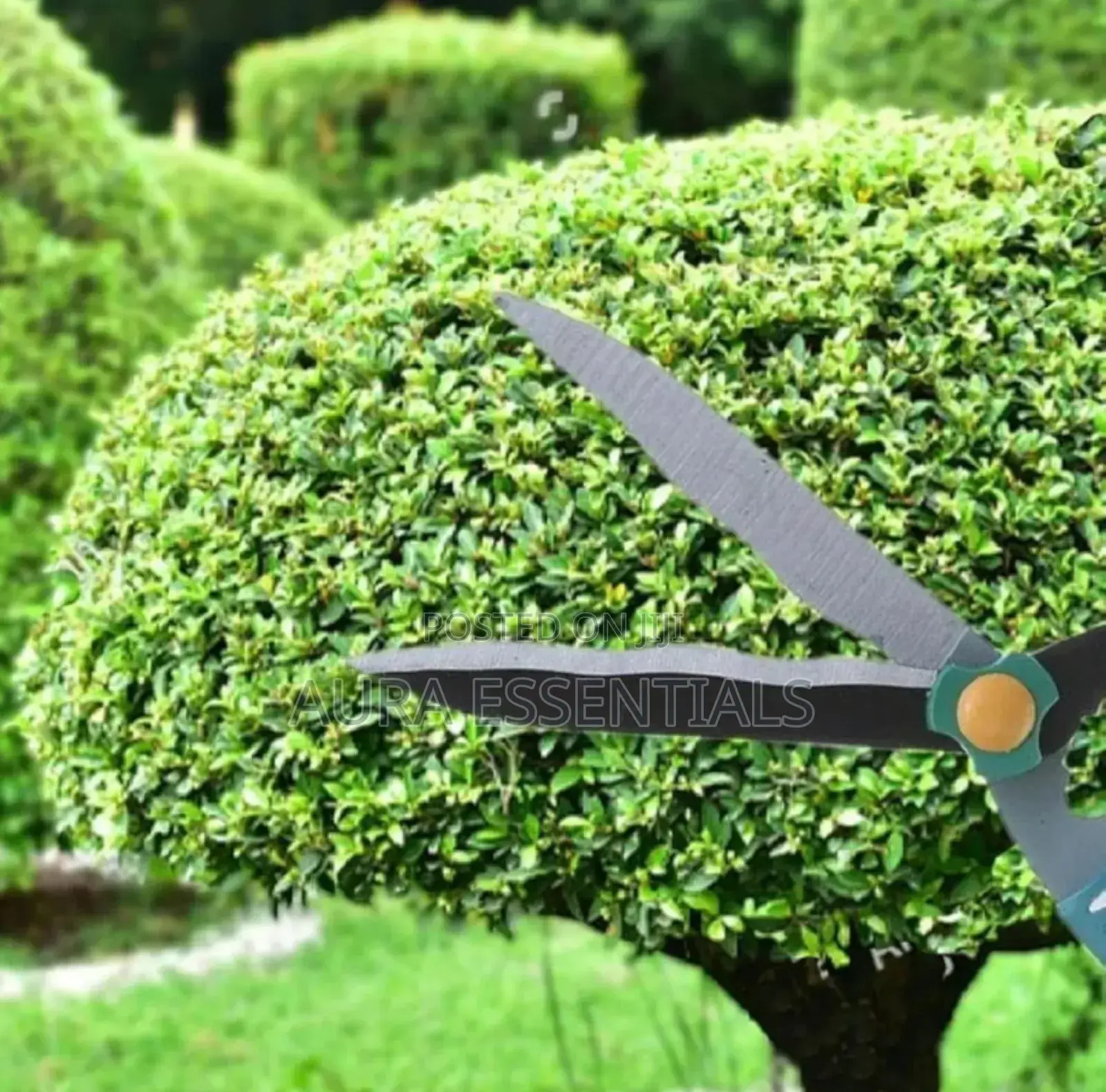 Stainless Steel Medium-Sized Garden Scissors