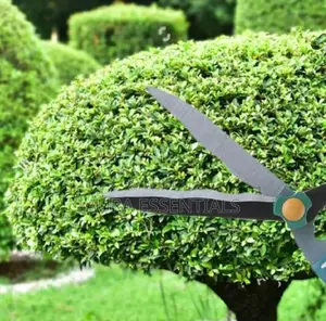 Stainless Steel Medium-Sized Garden Scissors