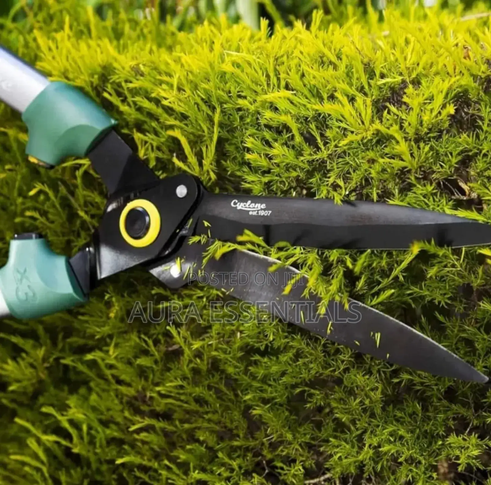 Stainless Steel Medium-Sized Garden Scissors