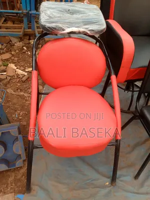 Ladies Salon Chair/Business Tool