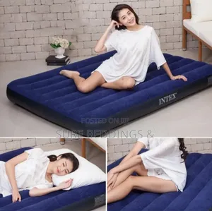 Intex Air Mattress