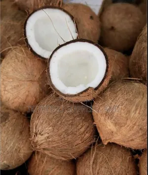 Fresh Coconuts 1 Piece