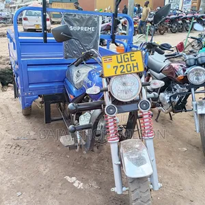 Tricycle Ihemas 2023 Blue