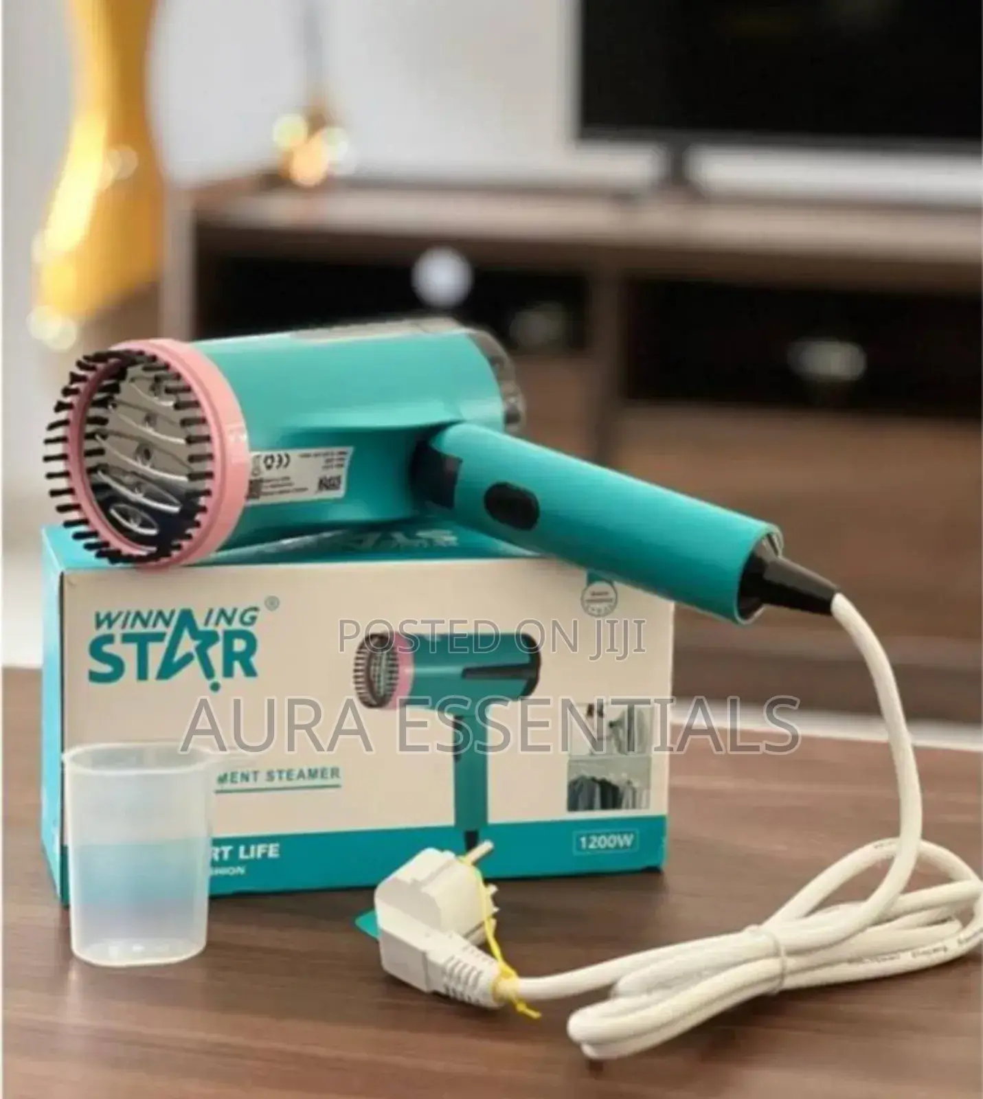 Winning Star Handheld Garment Steamer St-5311