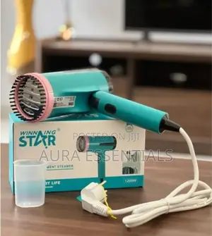 Winning Star Handheld Garment Steamer St-5311