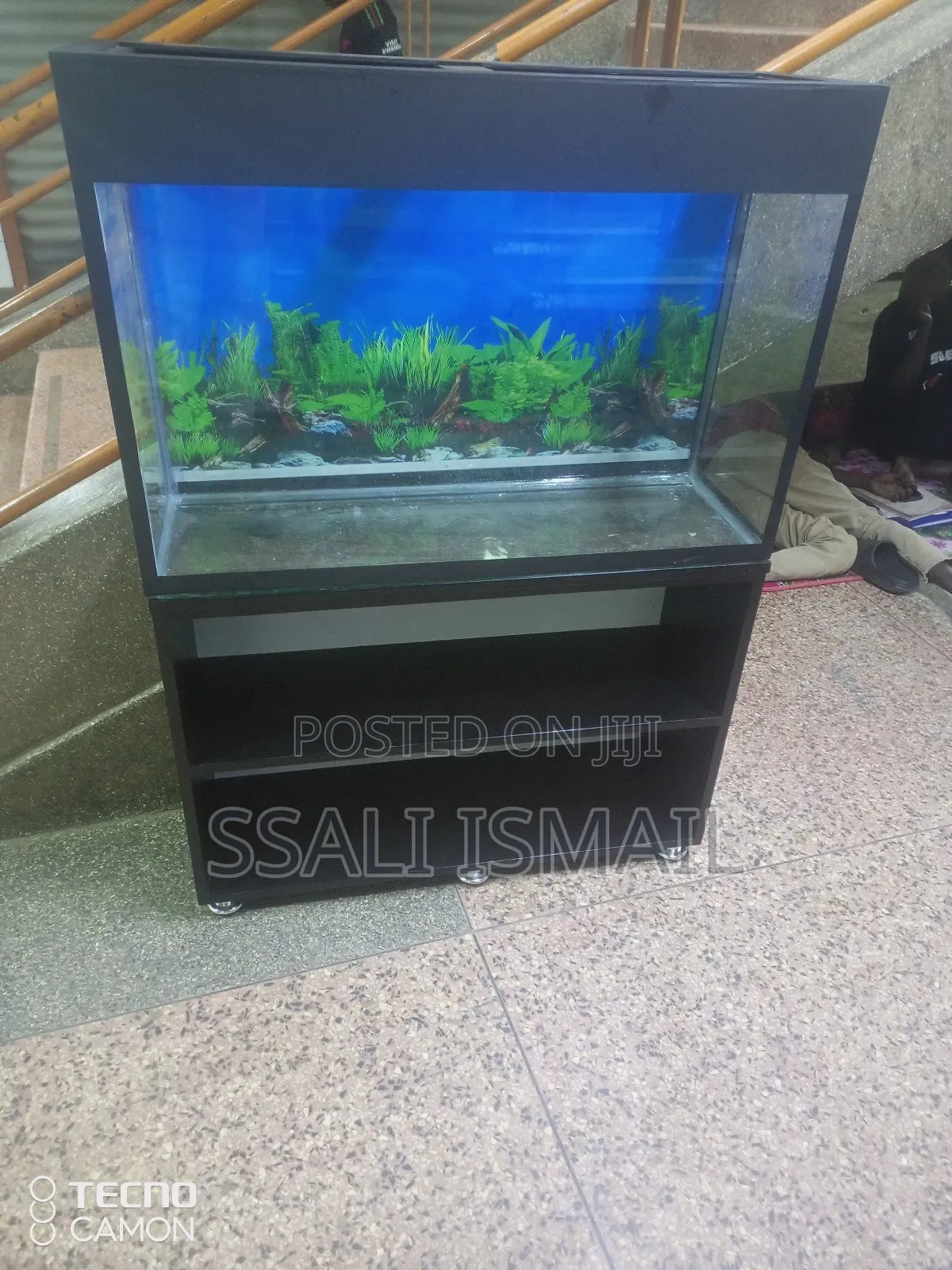 Black Wooden Stand, Black Aquarium.
