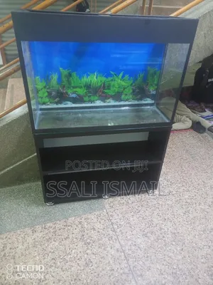Black Wooden Stand, Black Aquarium.