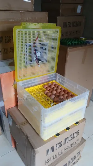 115eggs Automatic Incubator