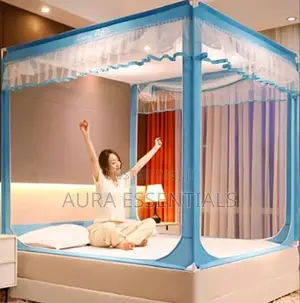 Palace Style Tent Mosquito Net