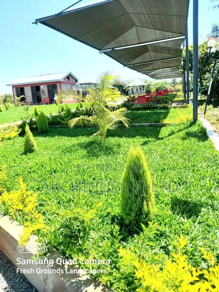 Compound Design