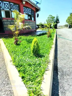 Compound Design