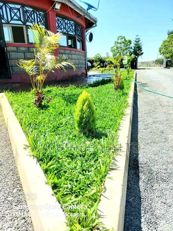 Compound Design