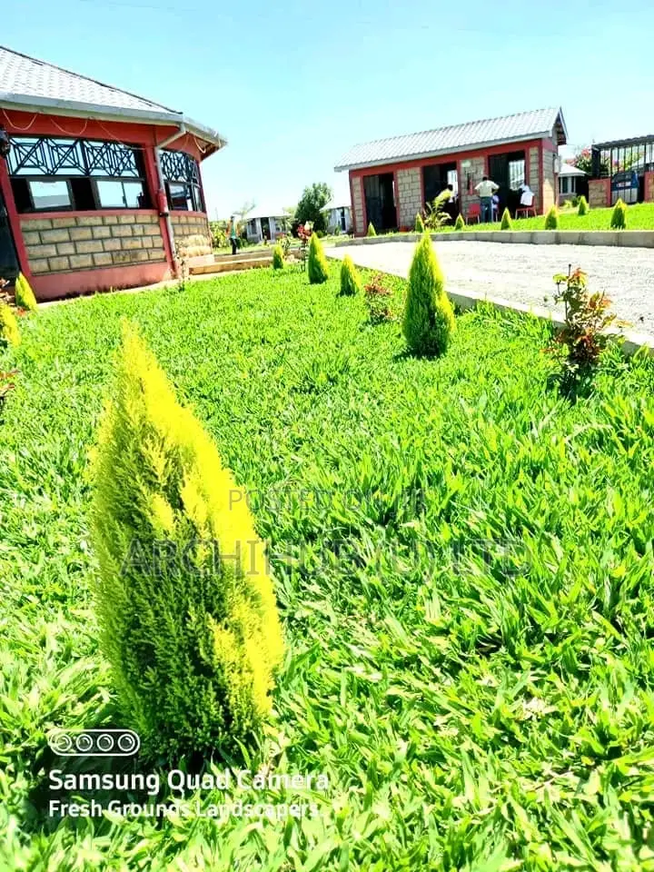 Compound Design