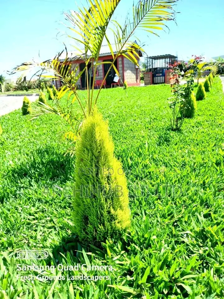 Compound Design