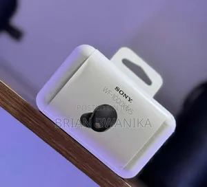 Wf 1000xm5 Sony (Color Black)