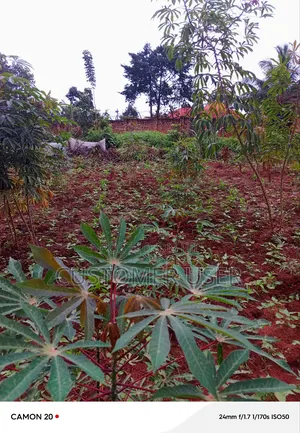 Commercial Plot