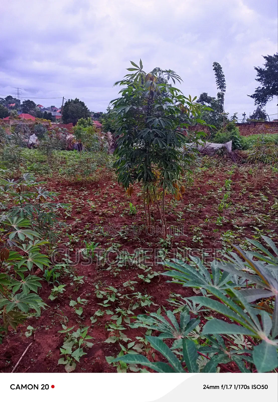 Commercial Plot