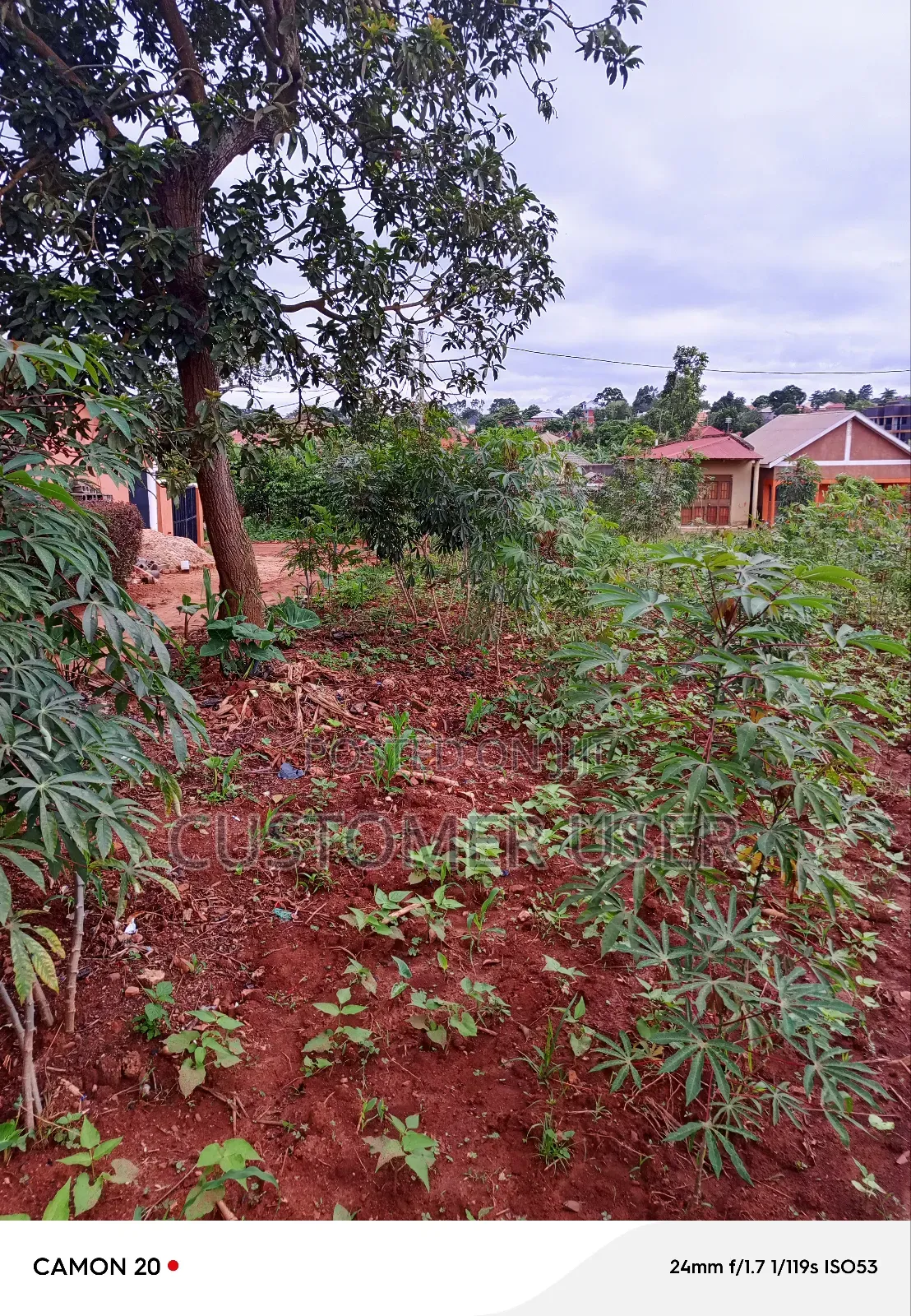 Commercial Plot