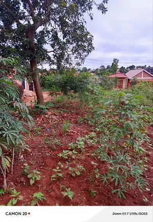 Commercial Plot