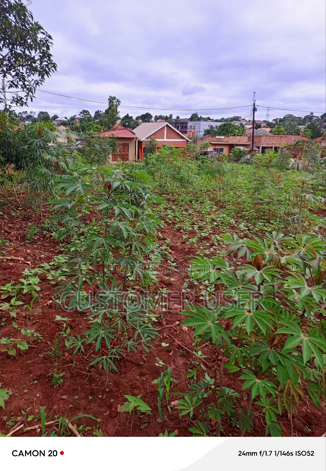 Commercial Plot