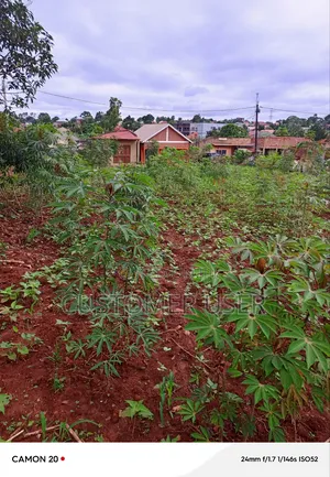 Commercial Plot