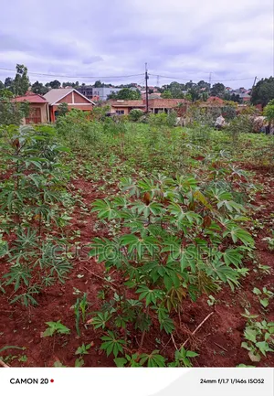 Commercial Plot