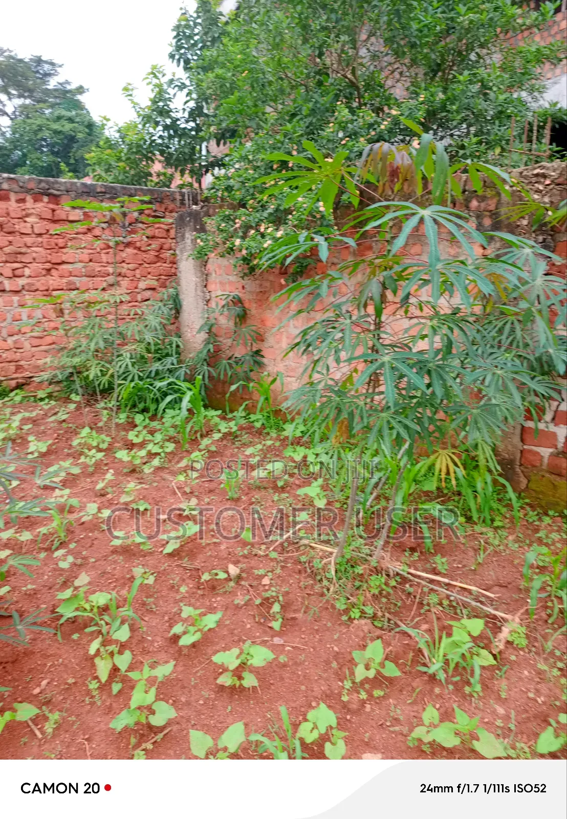 Commercial Plot