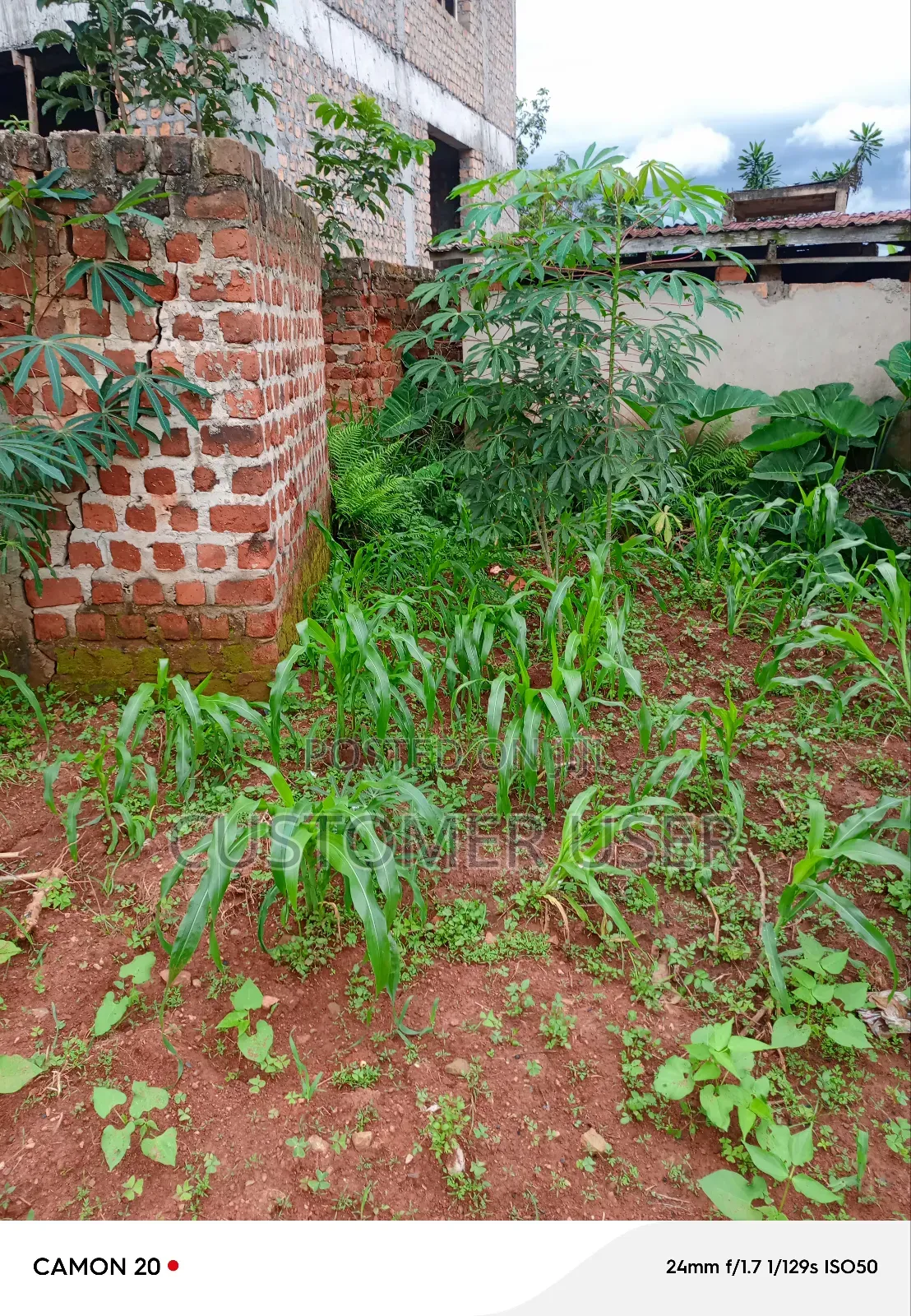 Commercial Plot