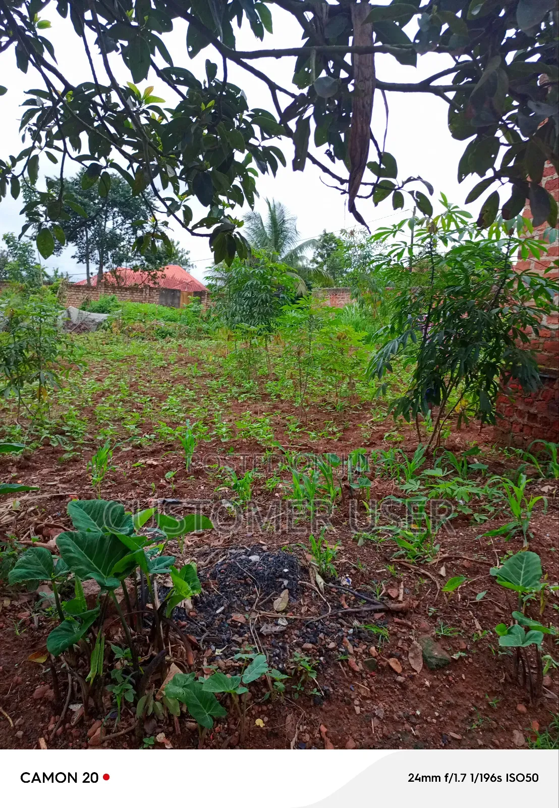 Commercial Plot
