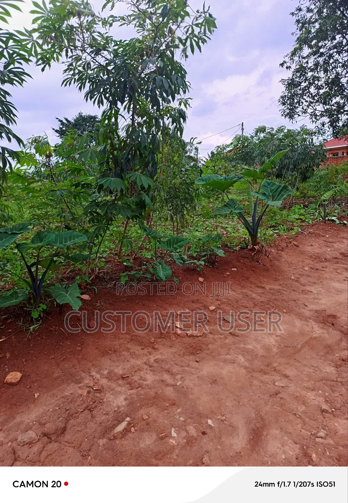 Commercial Plot