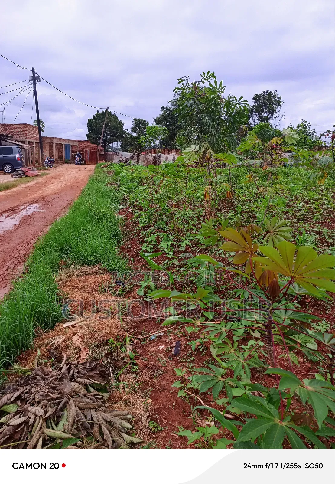 Commercial Plot