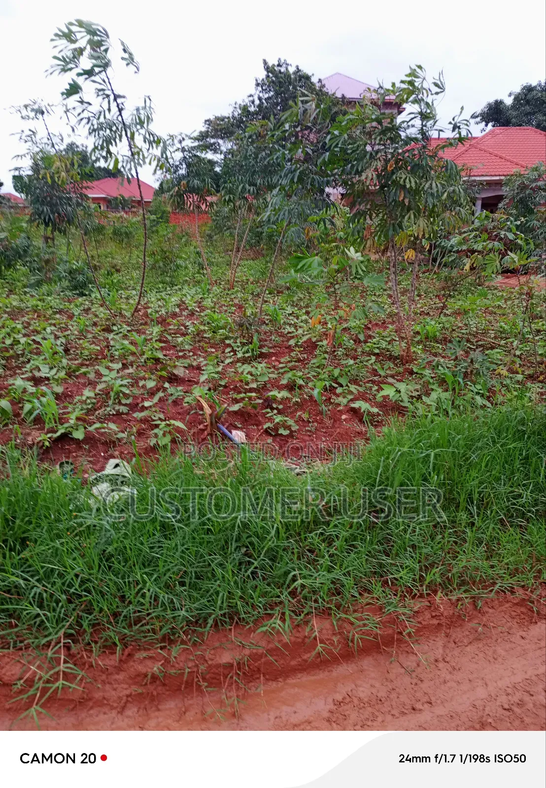 Commercial Plot