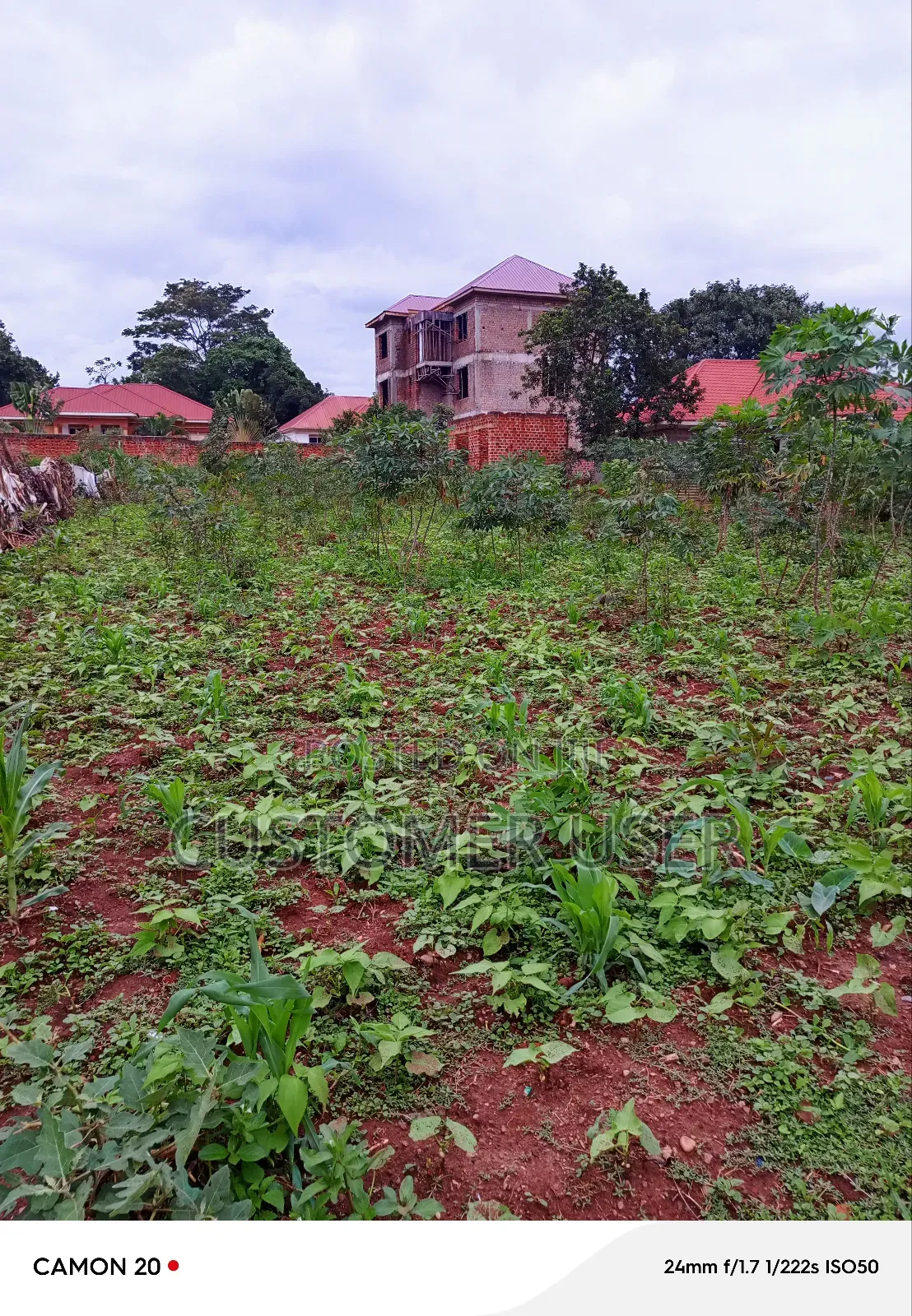 Commercial Plot