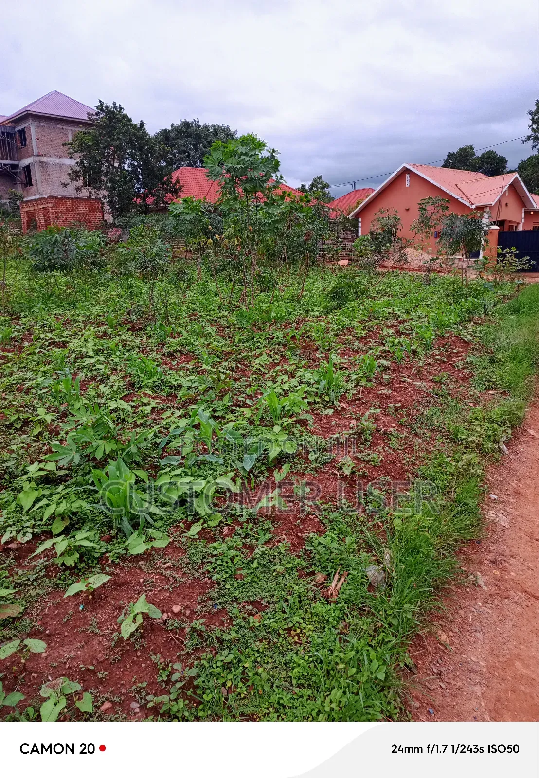 Commercial Plot