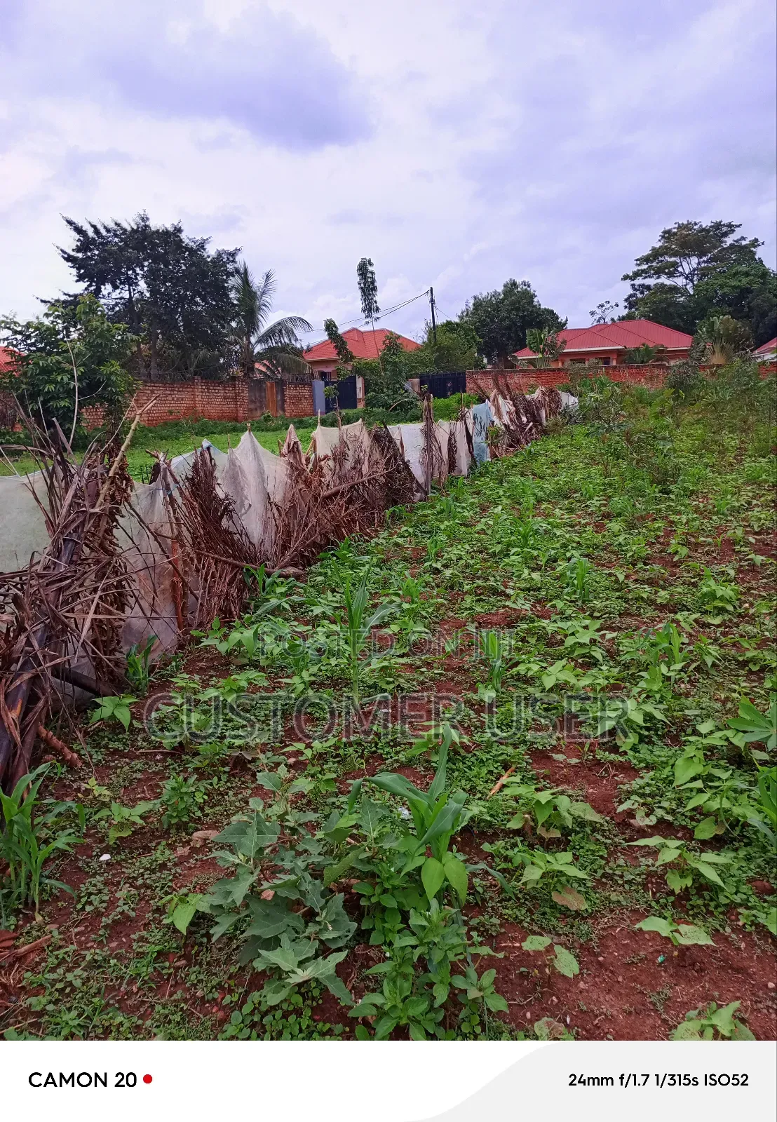 Commercial Plot