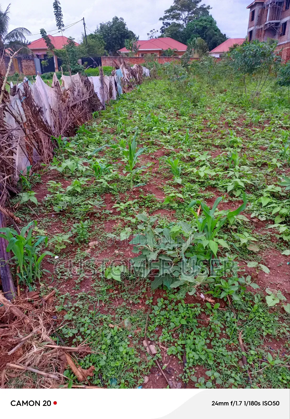Commercial Plot