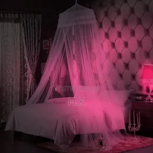 Bcbyou Princess Bed Canopy Netting Mosquito Net( Small)