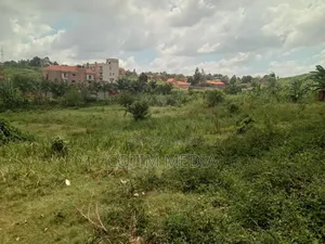 Nalya Plot