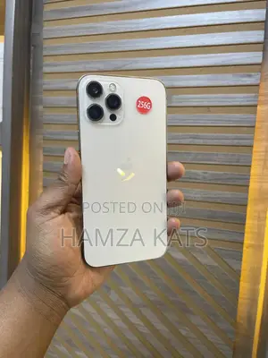 Apple iPhone 12 Pro Max 256 GB Gold