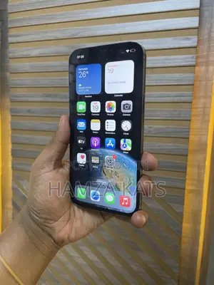Apple iPhone 12 Pro Max 256 GB Black
