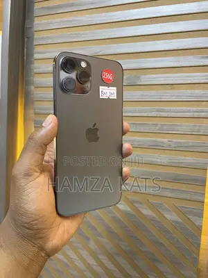 Apple iPhone 12 Pro Max 256 GB Black