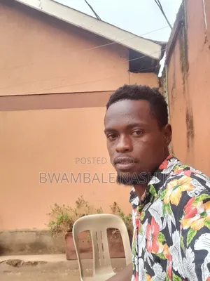 2yrs Experience