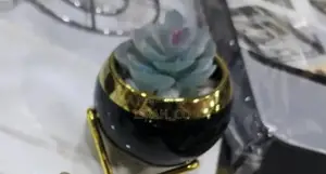 Car Air Freshener Shaped Like a Succulent or Flower,